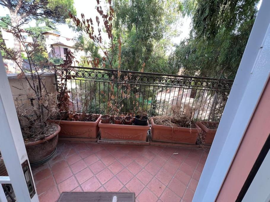 6ponza Mansion Nature * Roma
